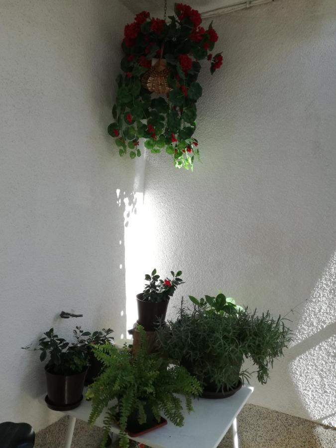 Apartments Culav ماكارسكا المظهر الخارجي الصورة